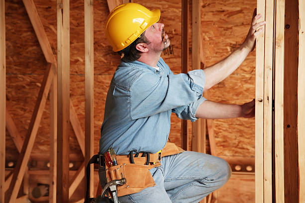 Best Eco-Friendly Insulation Solutions  in Princeton, IL